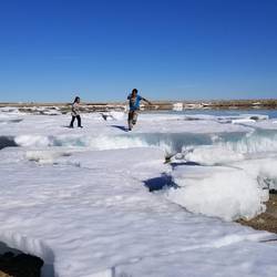 Jumping on washed up icebergs!