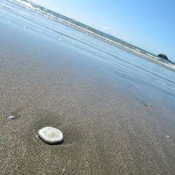 Welcome to Cape Hillsborough National Park