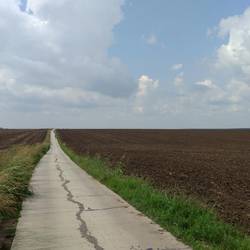 Gigantisch große Felder bis über den Horizont hinaus