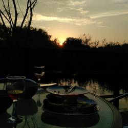 Essen auf der Floß-Terrasse im Parcul Natural Comana