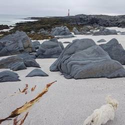 Am nördlichsten Meer