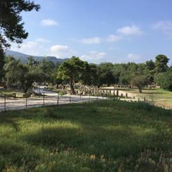 Overview of the site at Olympia