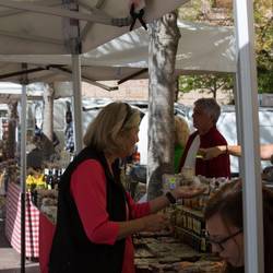 Glenda Shops for Mató and Asiago Cheese