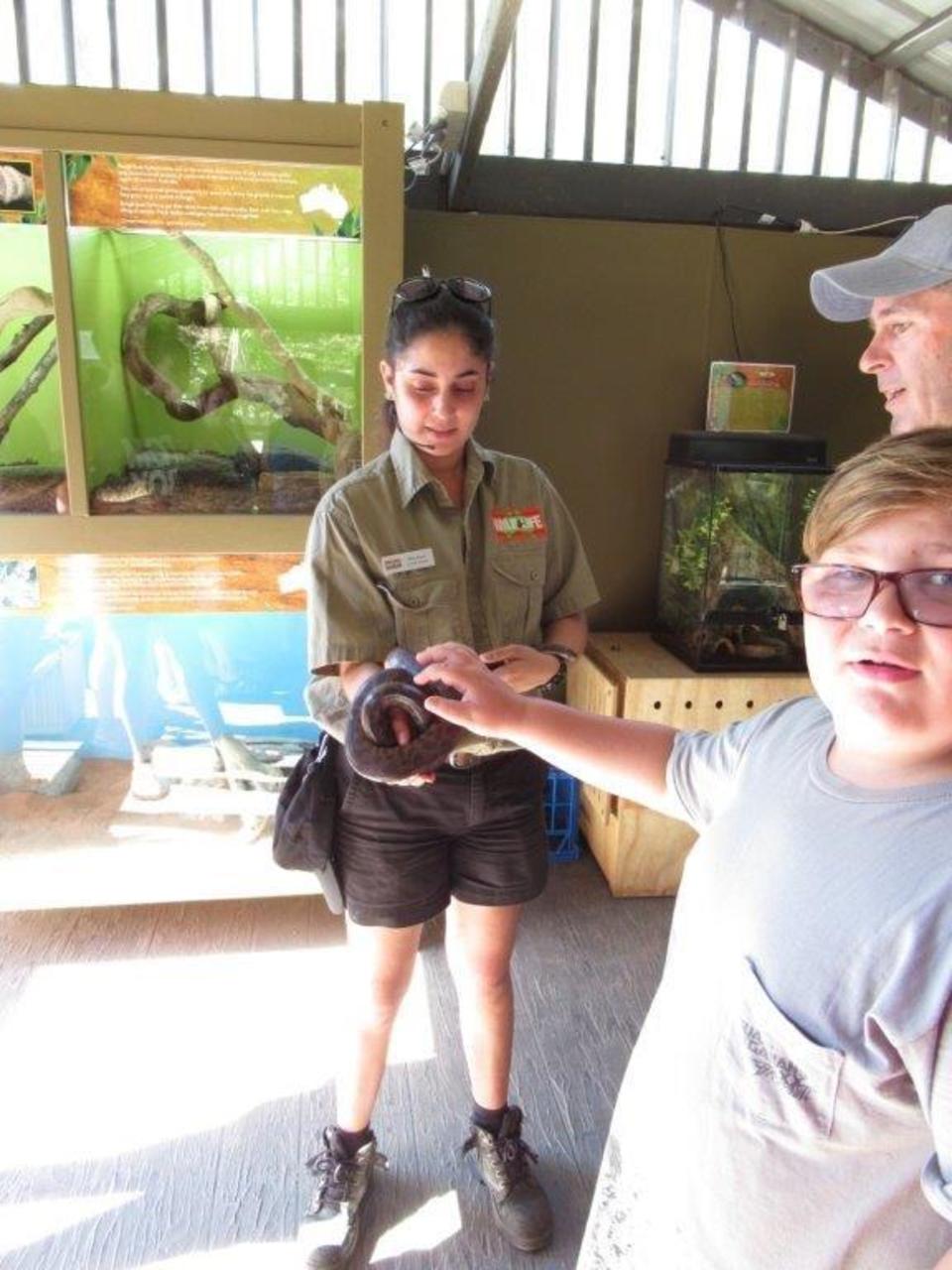 what a cute snake