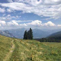 Blick ins Rheintal
