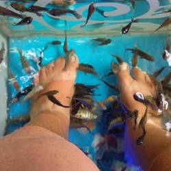 Pediküre mit Fischchen