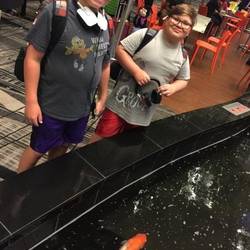 Singapore airport koi pond
