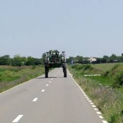 Da erschrickt man sich beim Überholen. Hätte auch über einen fahren können
