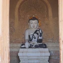 Un chien errant qui a élu domicile dans l'un des temple.