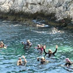 Have fun during the afternoon dive - I prefer to rest!