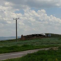 'The dogs territory'...