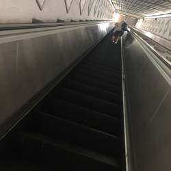 Boy was she weirded out by the long escalators. 🤣
