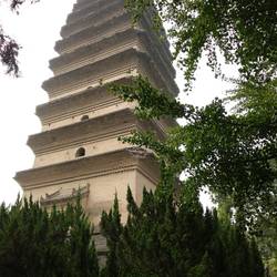 Kleine Wildgans Pagode