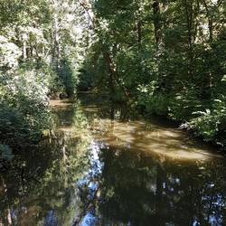 Entlang der Erft