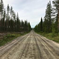 Die Straßen hier sind der Knaller. Es geht meist kilometerlang geradeaus.