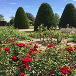 View over the rose garden into the formal garden