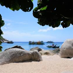 Snorkeling paradise 🐠