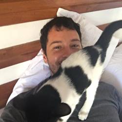 We booked a hotel room and the cat was included...