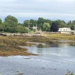 Shoreline