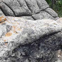 Not a petroglyph but it looks like toes