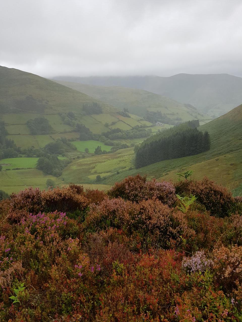 From Bwlch Siglen looking north. Ty'n-y-braich farm just about visible in distance.