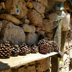 Organic decoration by Uncle Hüseyin!