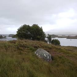A not particularly great view of Rannoch Moor. It was cold and blowy but no midges though.