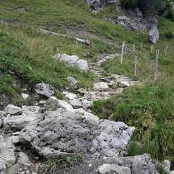 Weg zur Gehren Alm