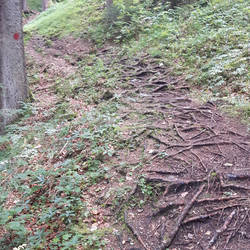 Weg zur Burgruine Ehrenberg
