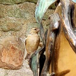 The bird is real, the bird feeder is bronze.