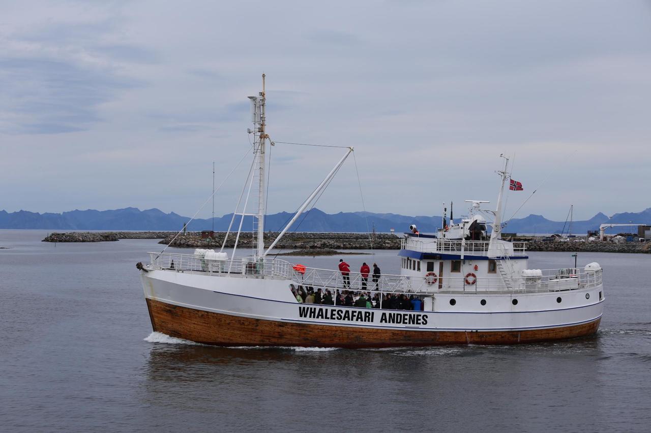Boot für die Walsafari
