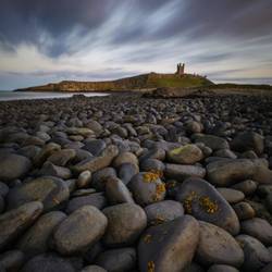 Always check focus before taking photograph. Simples!