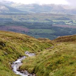 The weather cleared momentarily for a view of the glen from the gondola.