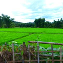 Chiang Dao