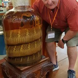 This large jar contained a huge python with a big scorpion in its mouth.