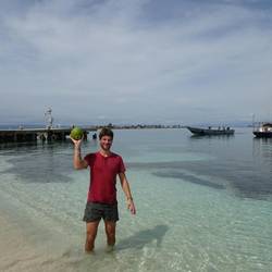 Kokosnüsse sind die Währung der Kunas