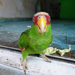 Hola!