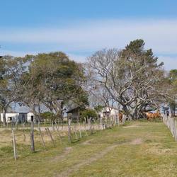 La estancia de Darío