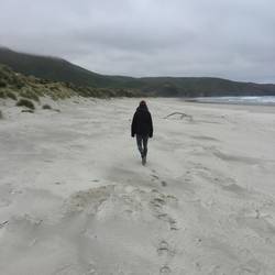 Allans Beach