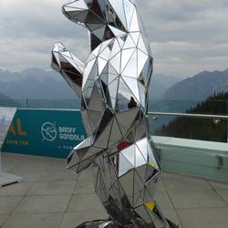 Mirror bear at the top of Mt Sulphur, Banff