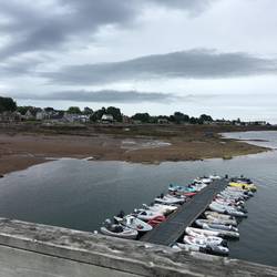 Low Tide