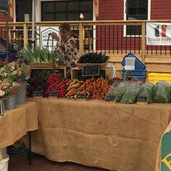 Farmer's Market