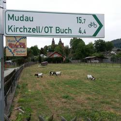 Im Odenwald