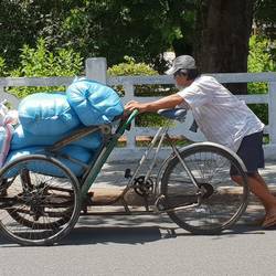 Local courier.