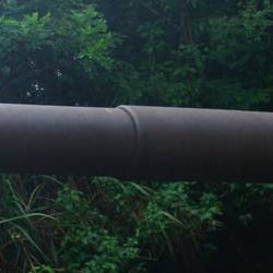 Das nenn' ich mal 'ne dicke Wumme.