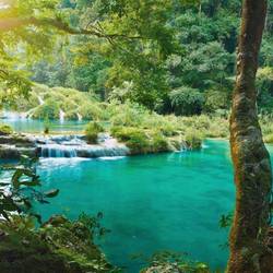 Ein paradiesischer Ort - Semuc Champey