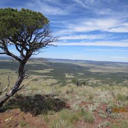View from atop Capulin Valcano