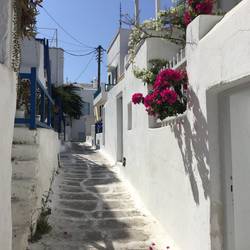 Mykonos town street