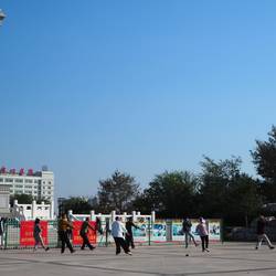 Tai Chi im Park
