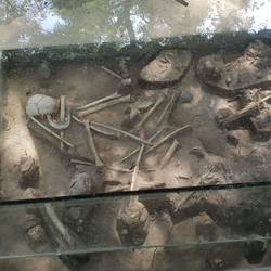 Bones uncovered in mass grave site